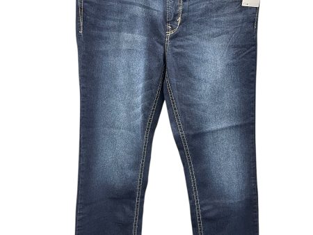 Jeans Flared By Wallflower In Blue Denim, Size: 14 Online now