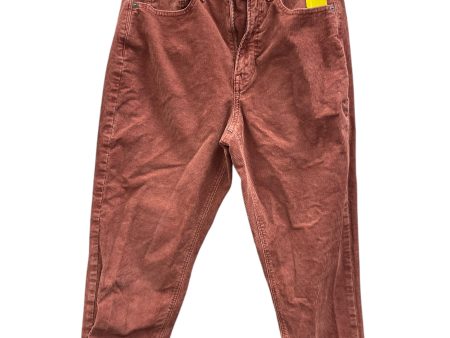 Jeans Straight By American Eagle In Maroon, Size: 6 Discount