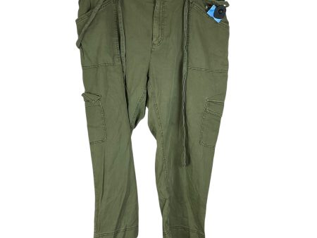 Pants Cargo & Utility By Old Navy In Green, Size: 2x For Sale